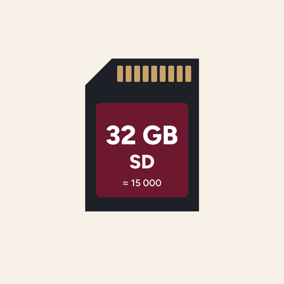 SD-kort 32 GB